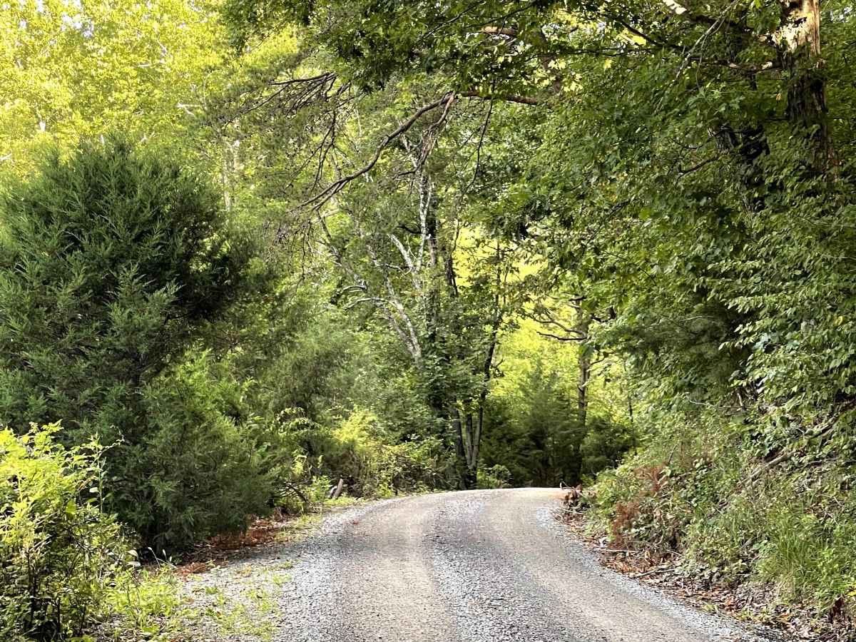 Sugar Tree Hollow photo 2