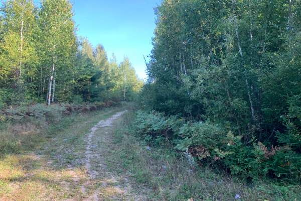 Kjostad Spur H - FS 609H