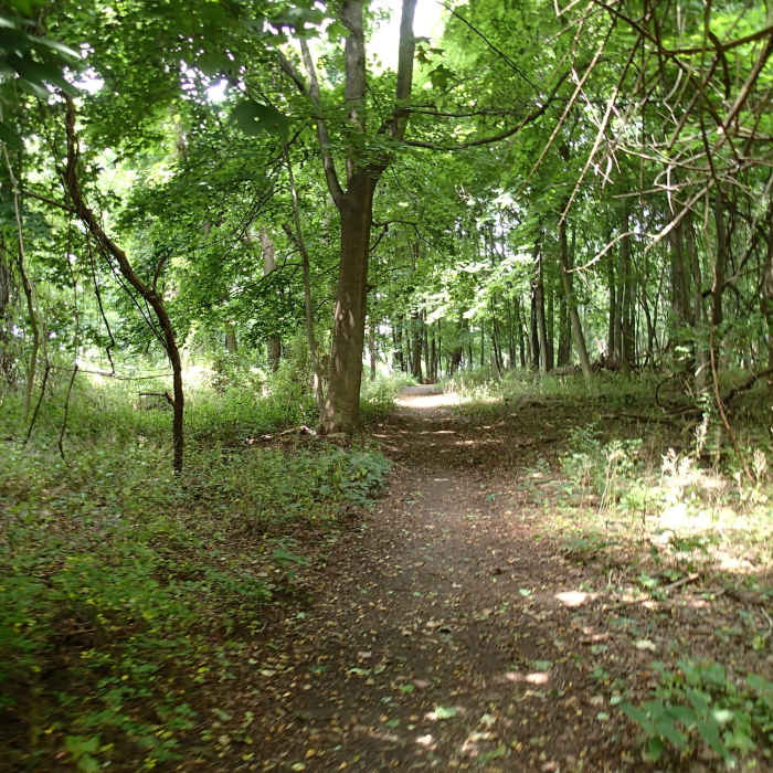 Near Dennings Point Trail