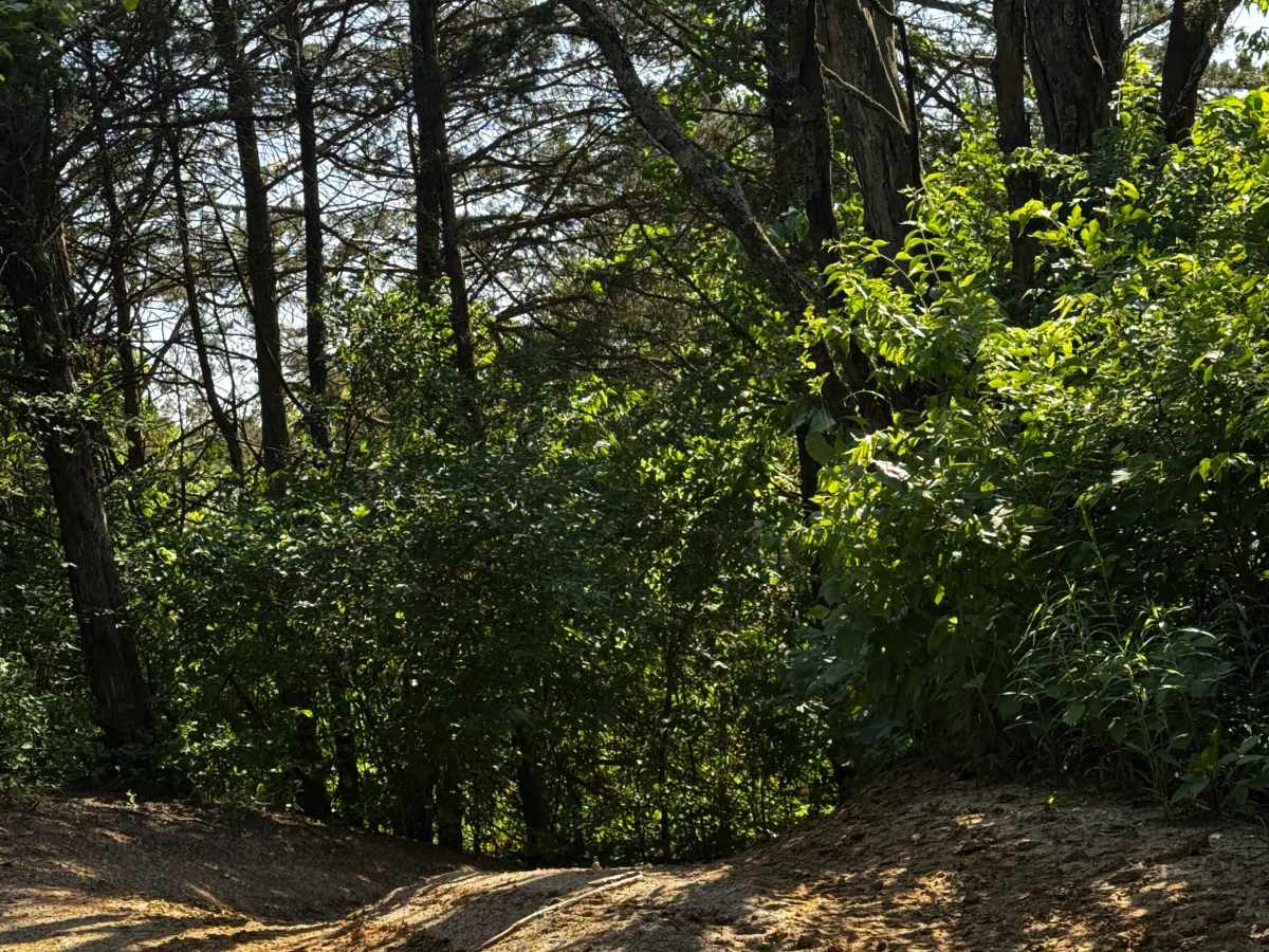 Inner Cut trail photo