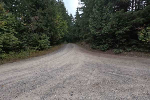 North Skookum Lake Road - FS 5000128