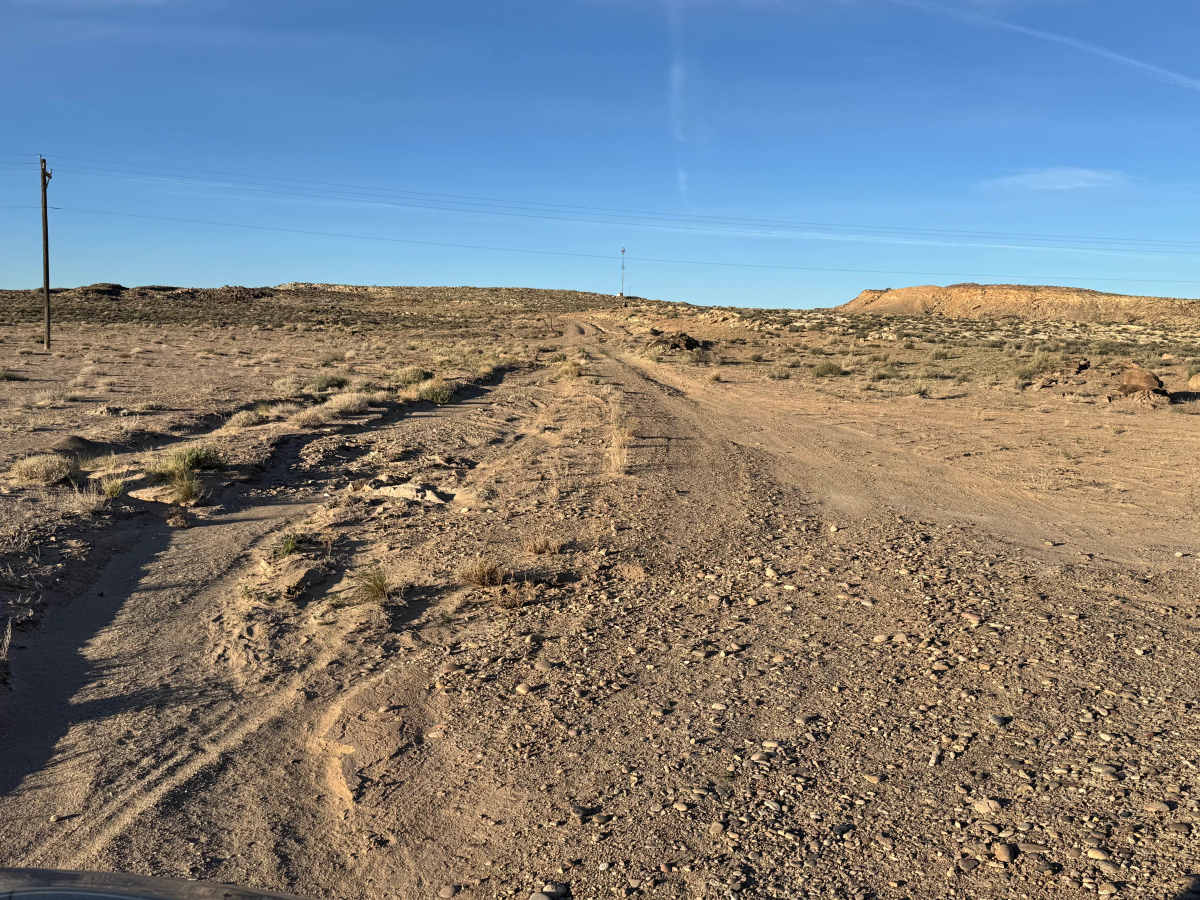 D3262 photo 4