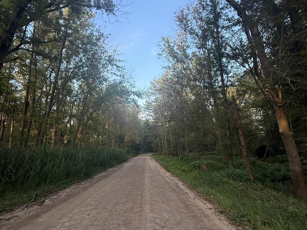 West Schafer Trail trail photo