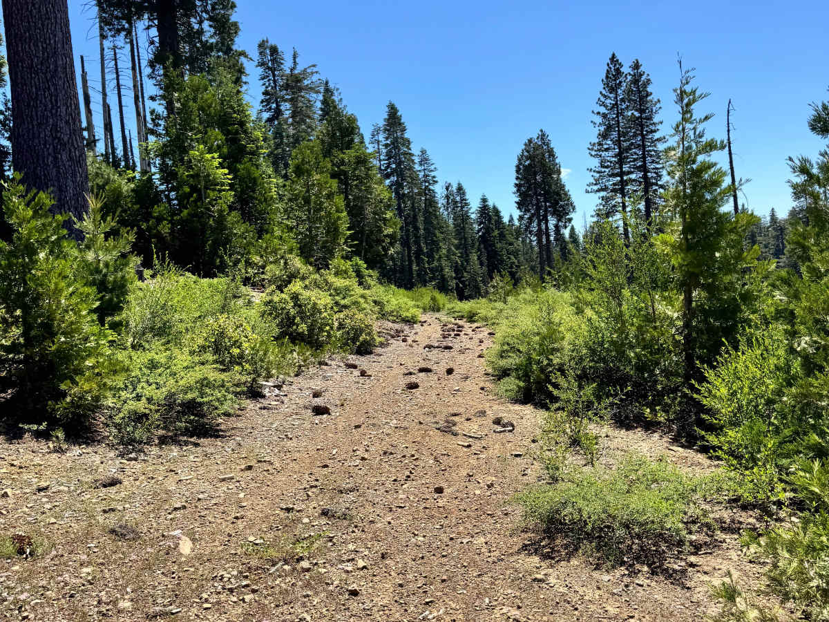 Frazier Creek - FS 96-4 trail photo