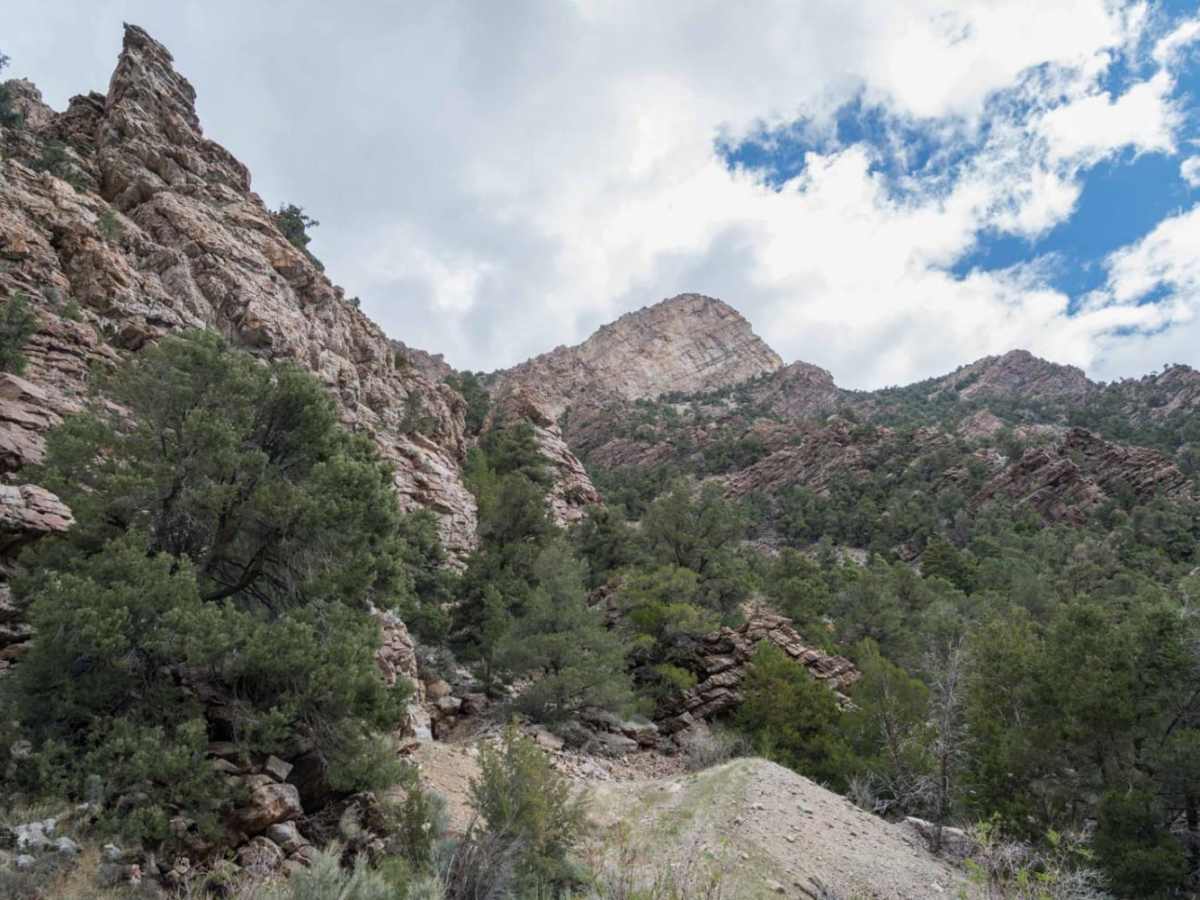 Oro Del Rey Mine and Goshute Canyon photo 5