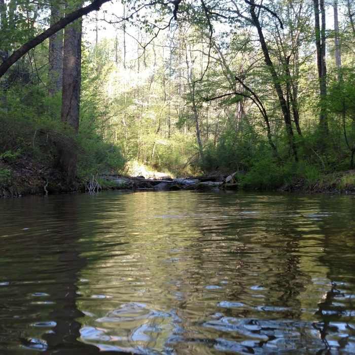 Near Rock Dam Trail