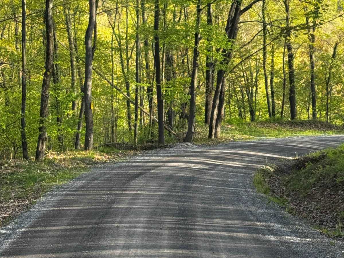 Devils Elbow Road photo 6