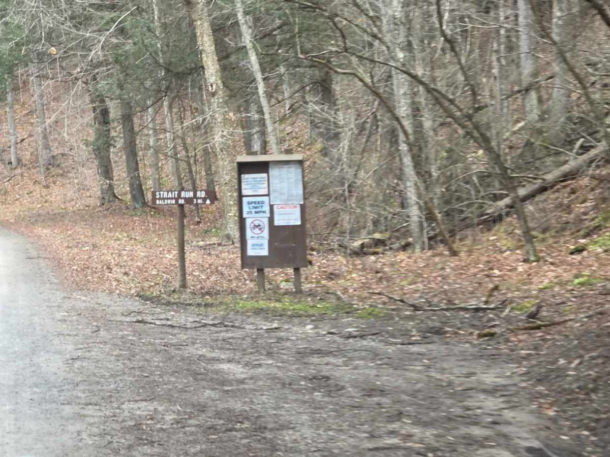 Straight Run Road photo 4