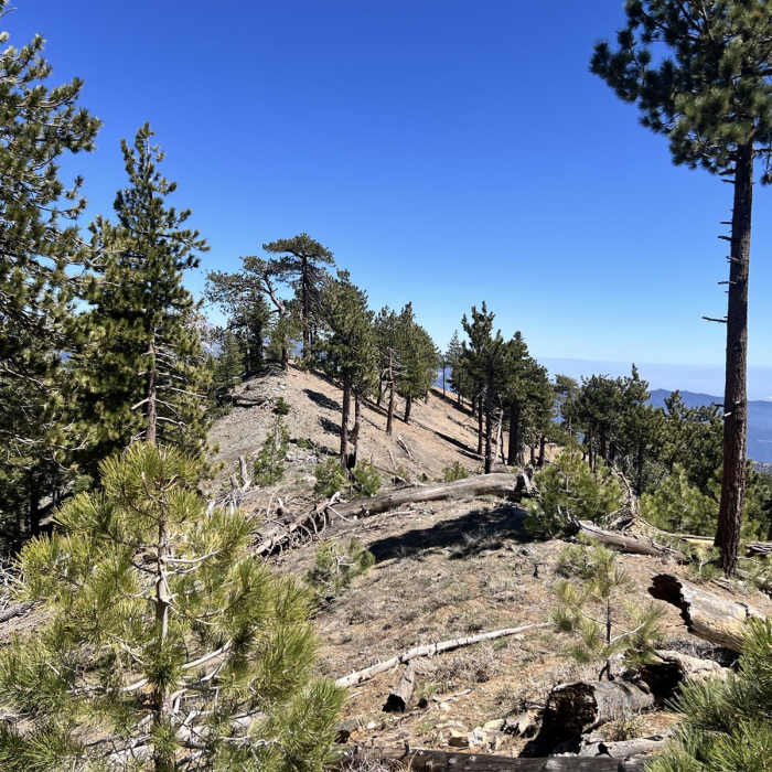 Near Crystal Lake Campground to Copter Ridge