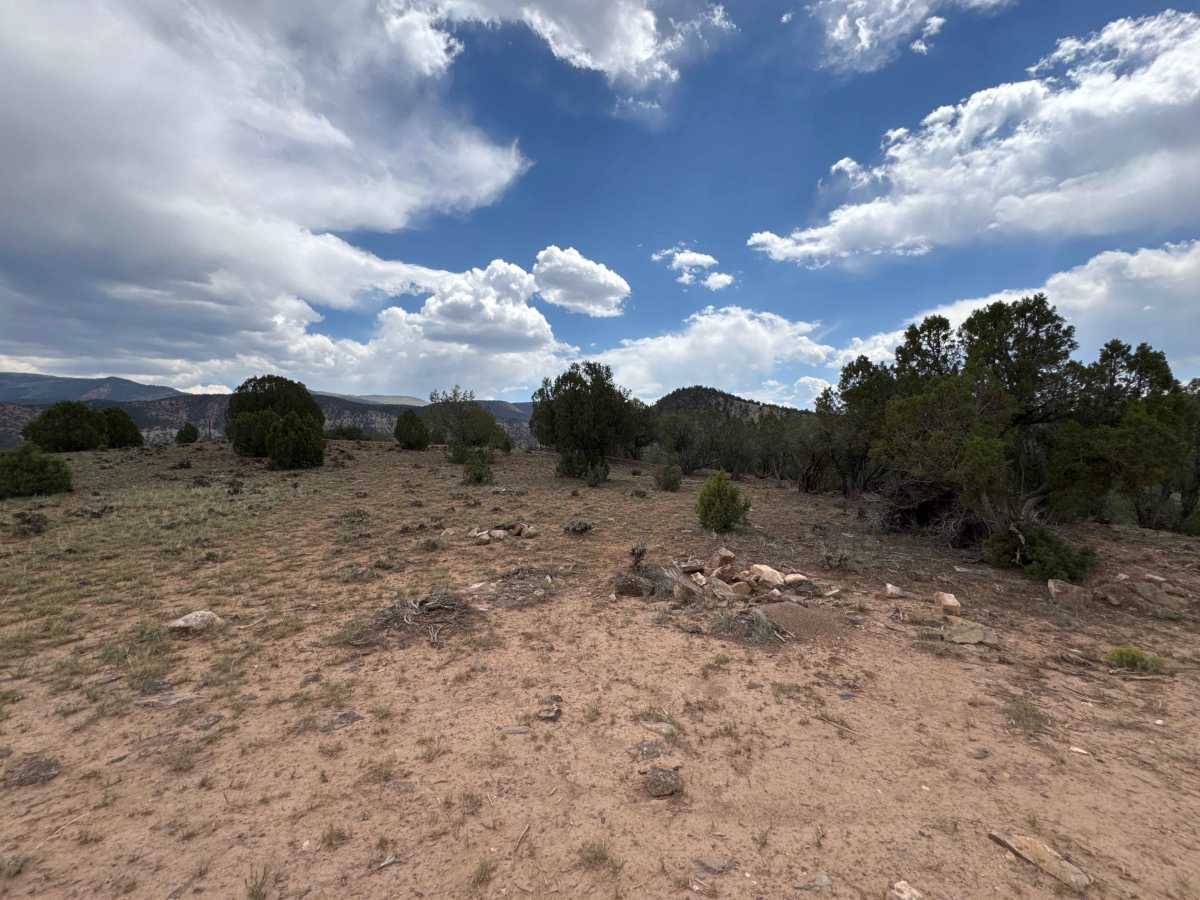 BLM 8457D photo 6