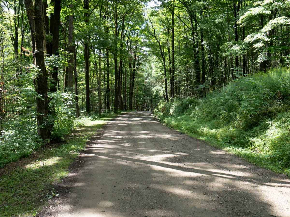 Lime Stone Run Road photo 6