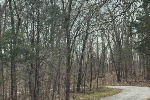 Millstone Bluffs Trailhead