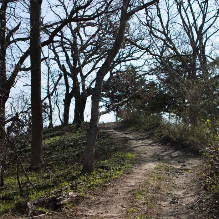 Near Hardwood Trail