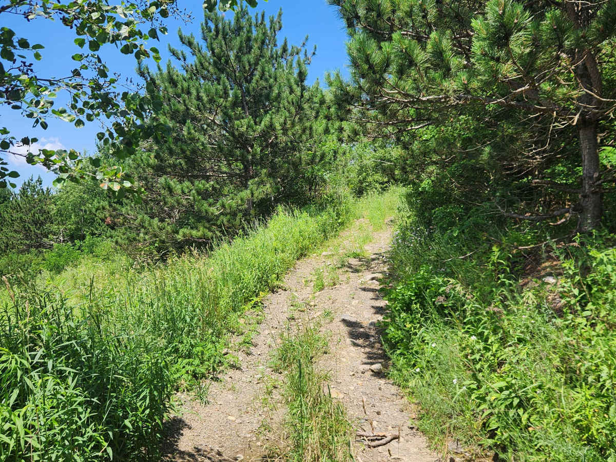 Trail 9A - Rock Run Recreation Area photo 3