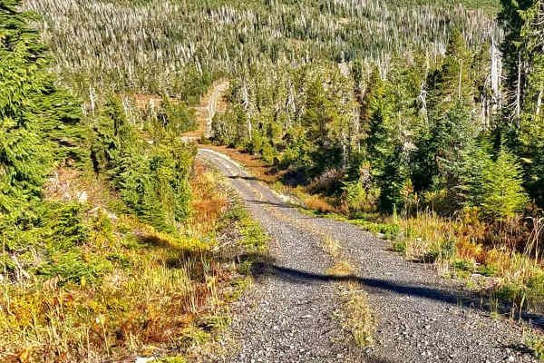 Fiddler Creek Road - FS 3015635