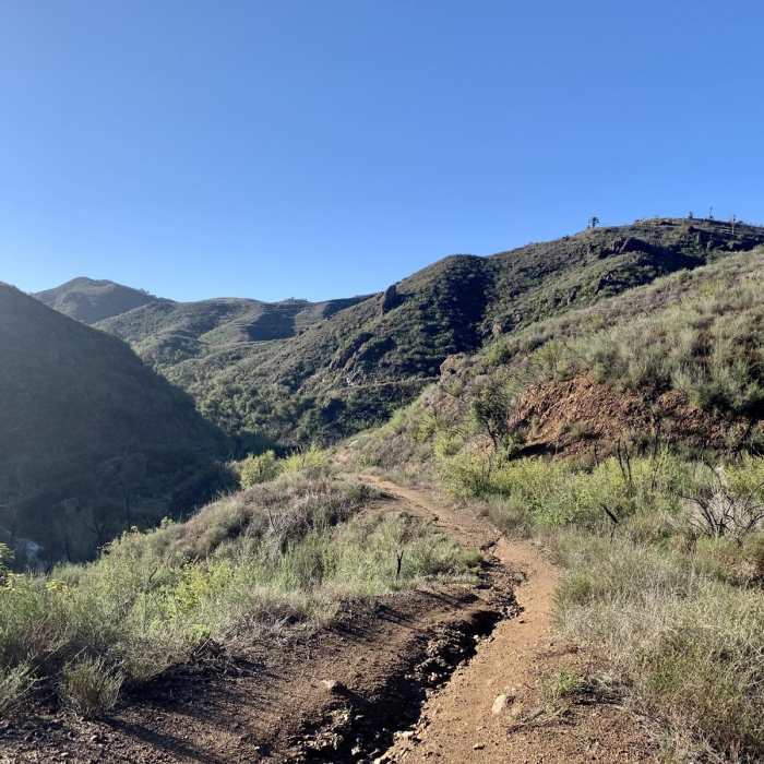 Near Backbone Trail: Kanan Dume Road to Mishe Mokwa