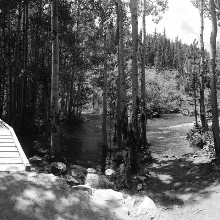 Near North Sourdough (#835)