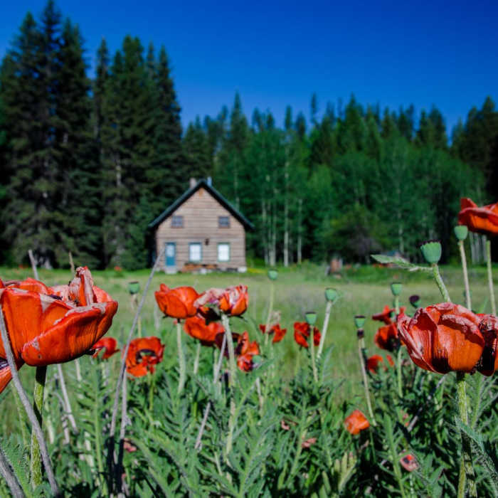 Near Pacific Northwest National Scenic Trail Section 2