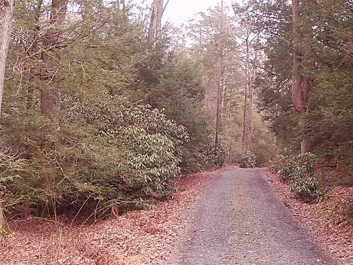 Corner Road photo 5