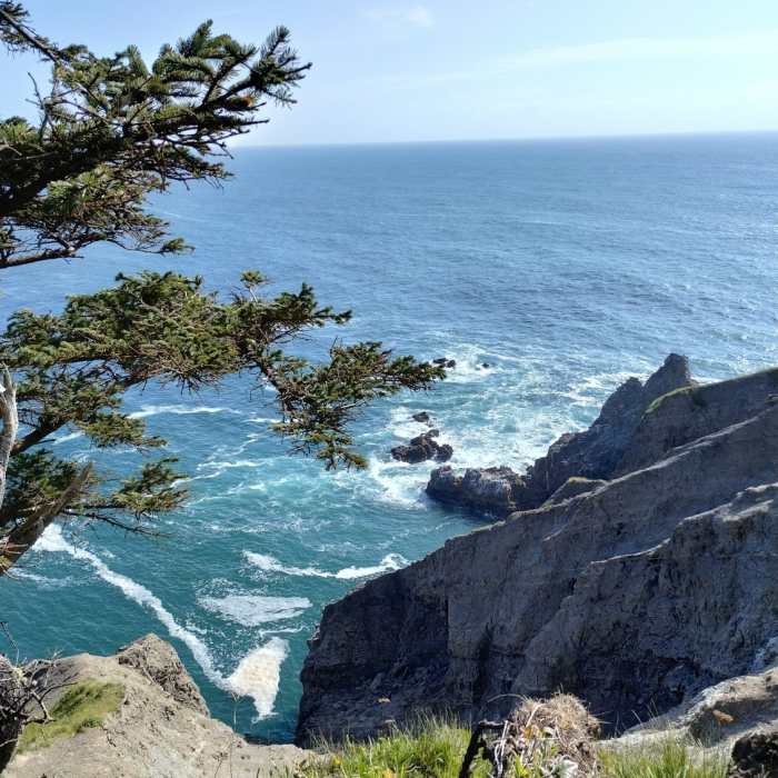 Near Cape Falcon Trail