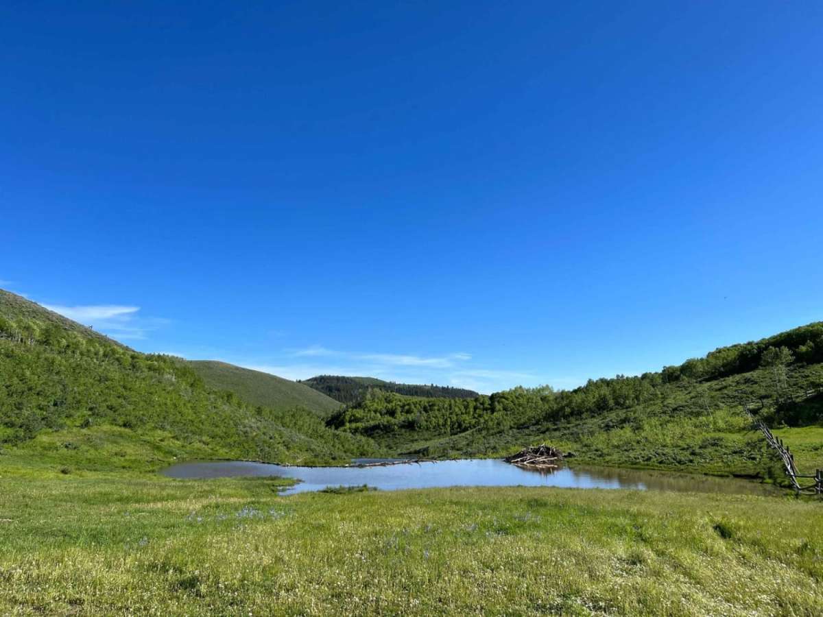 Elk Valley Guard Station photo 2