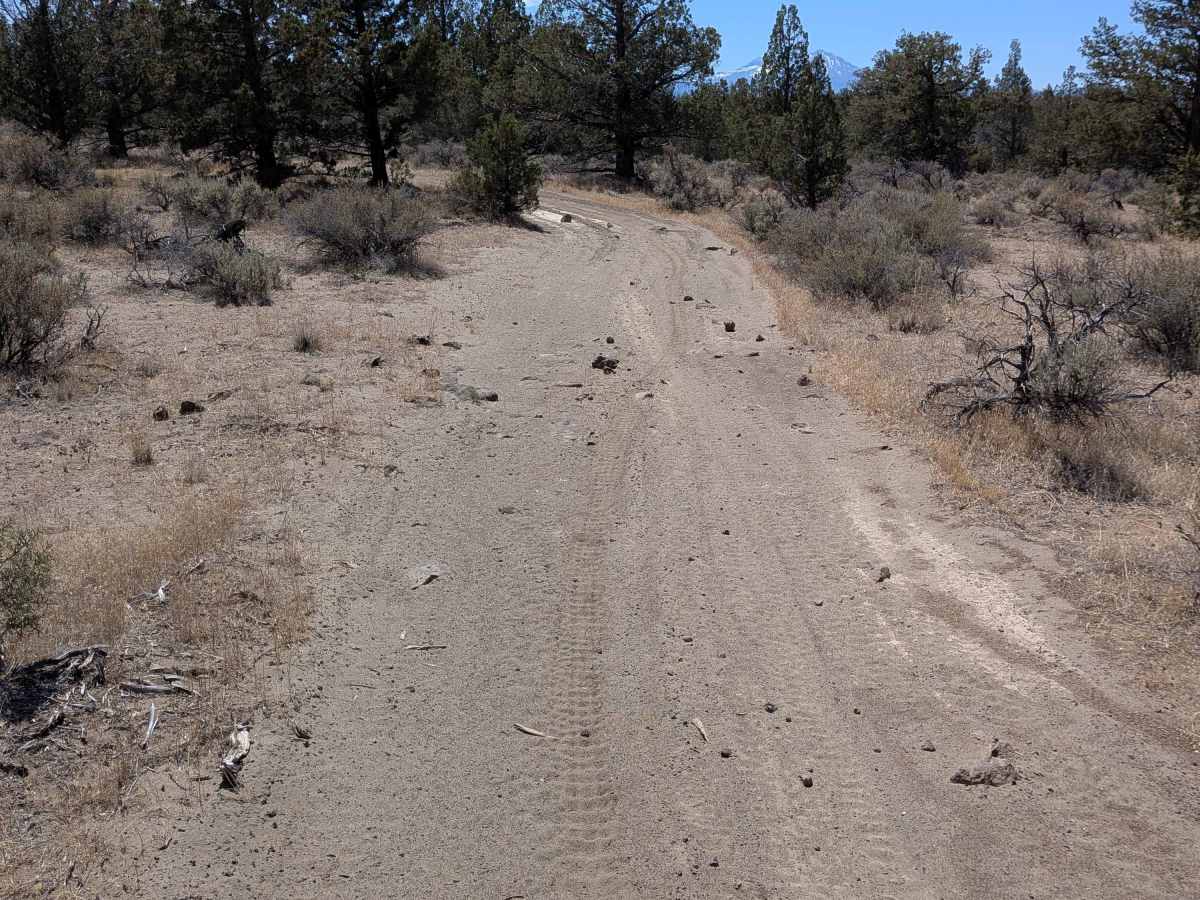Cline Buttes Off Highway Vehicle Trail 41 photo 6