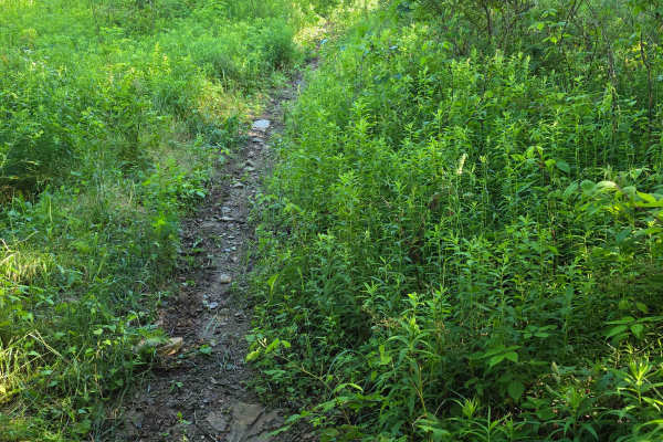 Single Track J2