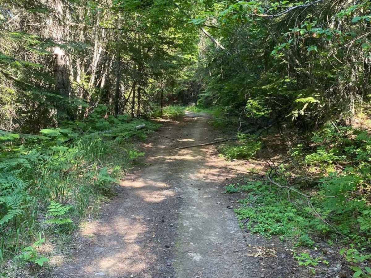 Flat Creek photo 6