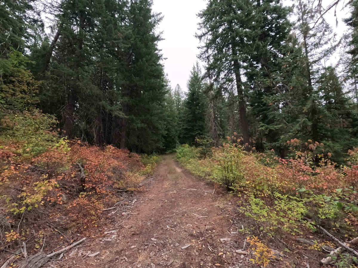 Goose Creek Point - FS 2730B photo 2