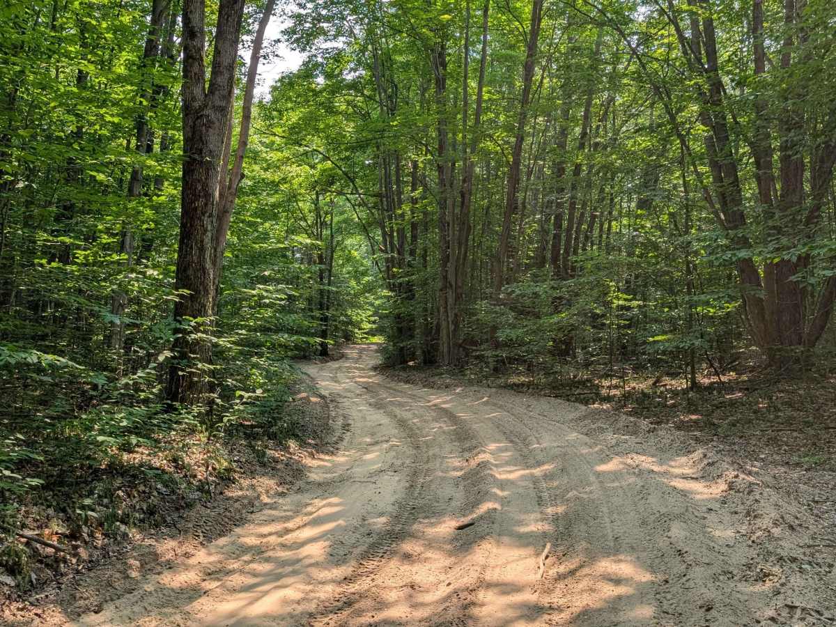 SMP 651 trail photo