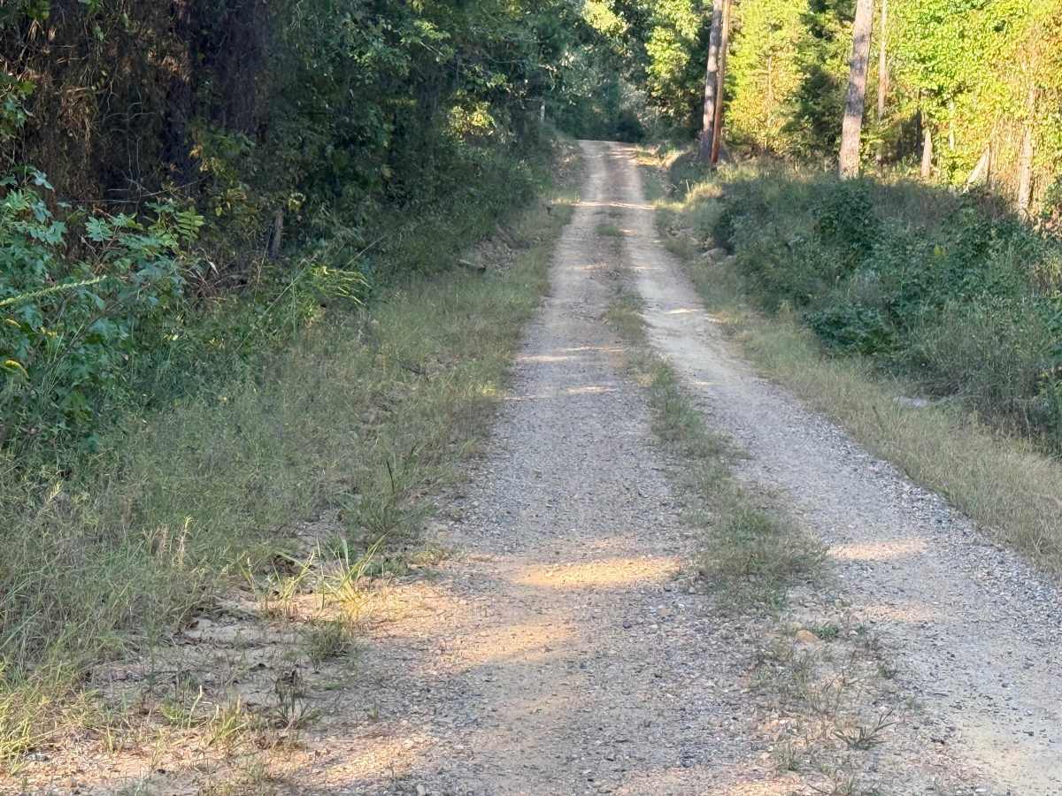 Robinson Creek trail photo