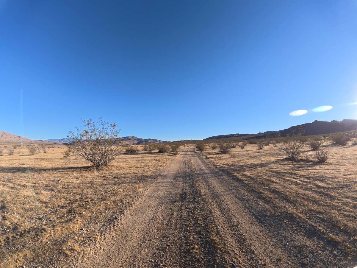 BLM SV2607 photo 5