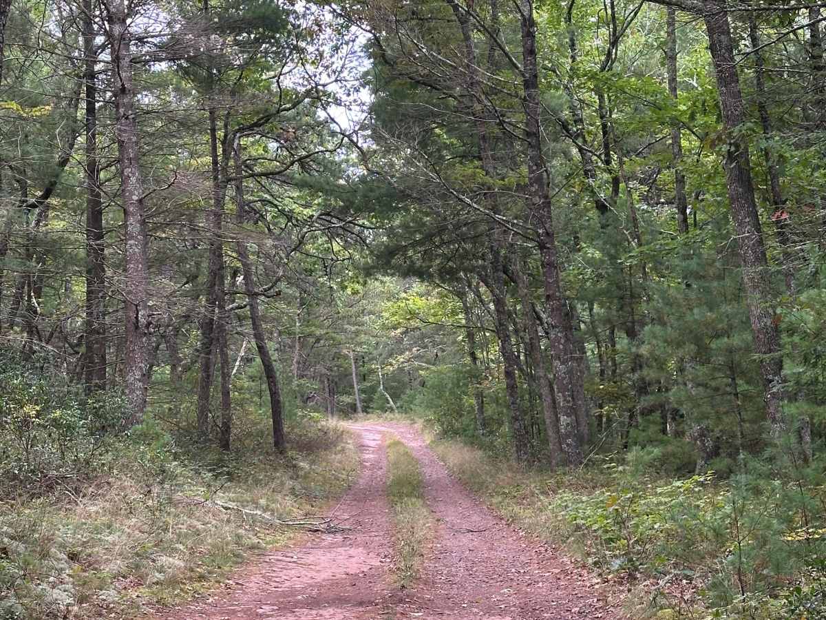 Fulk Mountain trail photo