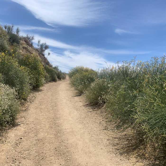 Near Chaney Trail Loop