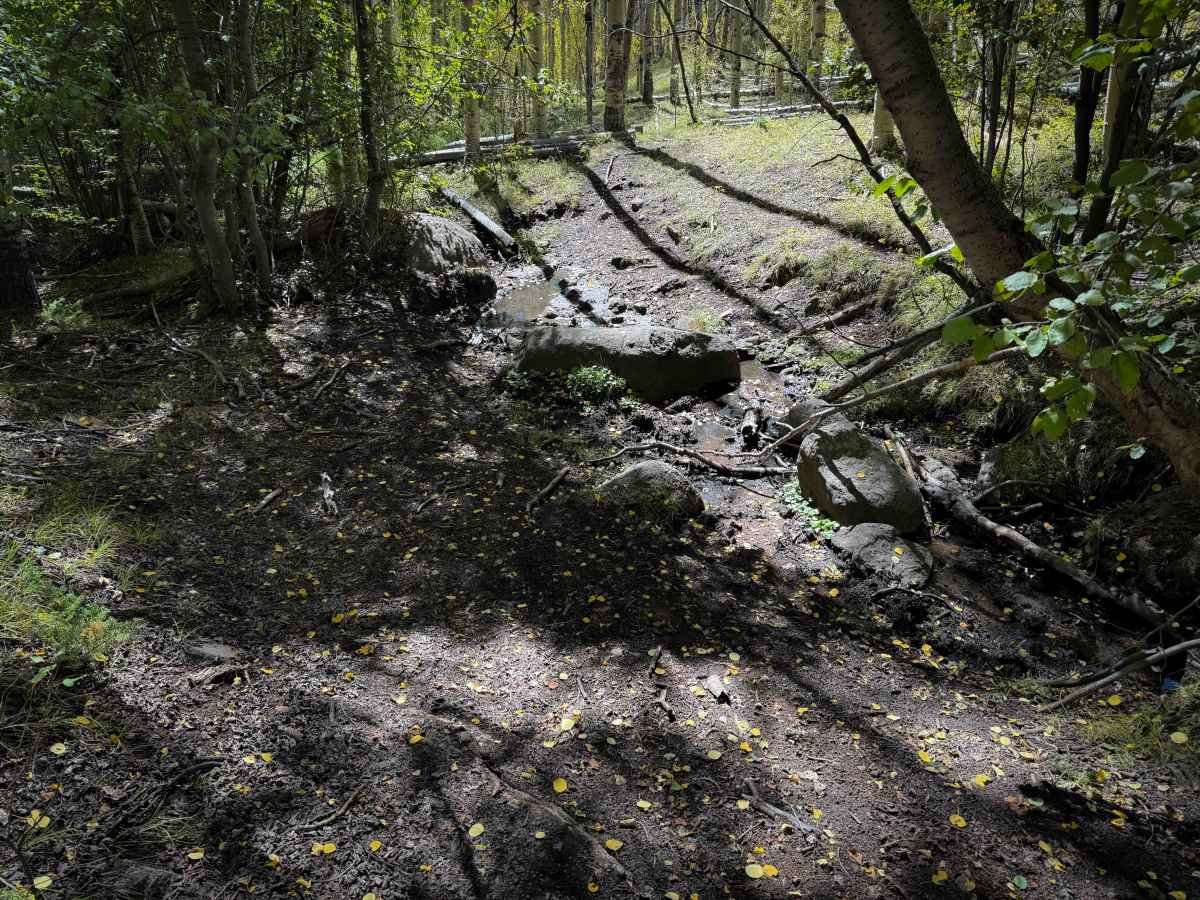 East Willow Trail - FS 609  photo 4