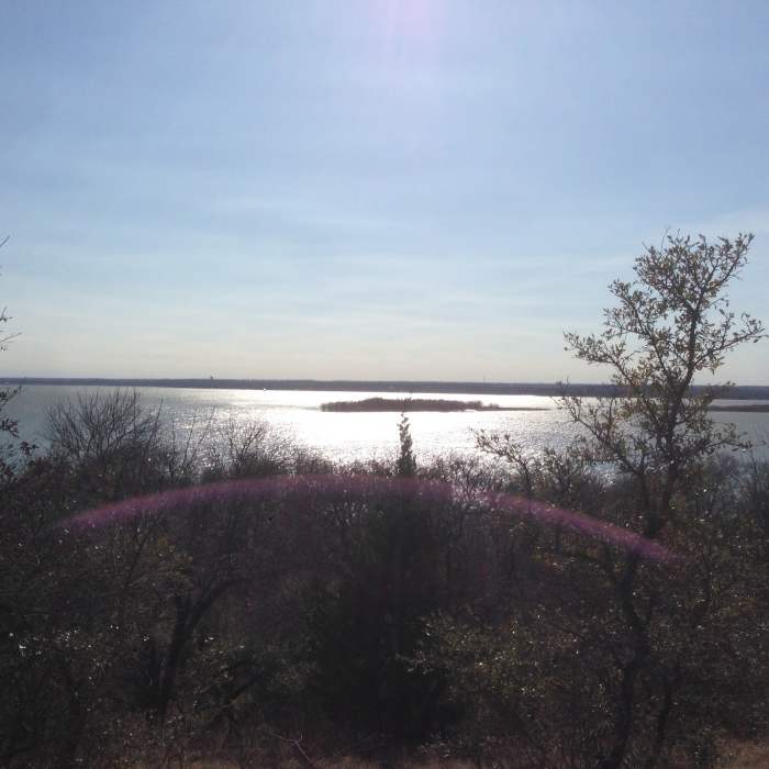 Near South Overlook Trail
