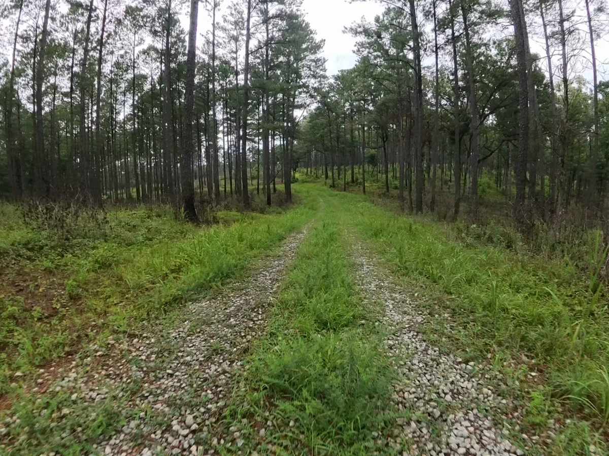 Chehaw - FS 1022 photo 6