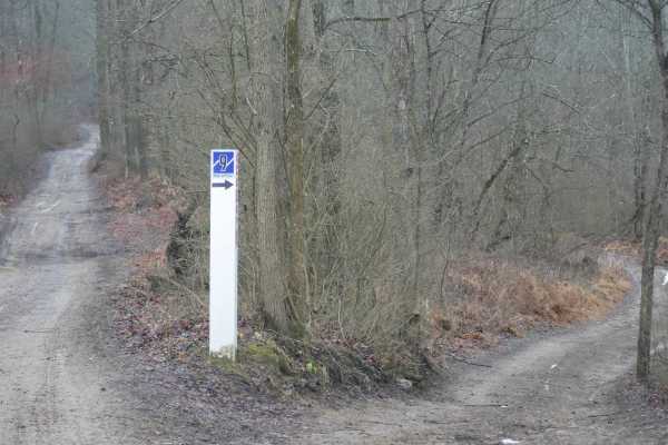 Trail 9