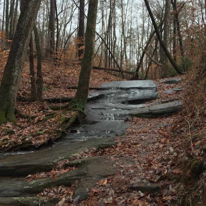 Another lovely little stream trickles down the rocks on the forest floor. Near Stone Mountain State Park Loop