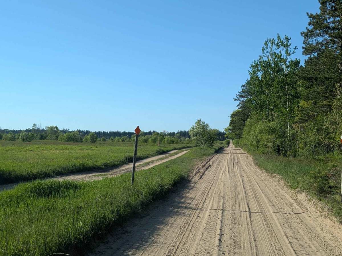 Maple Road photo 4