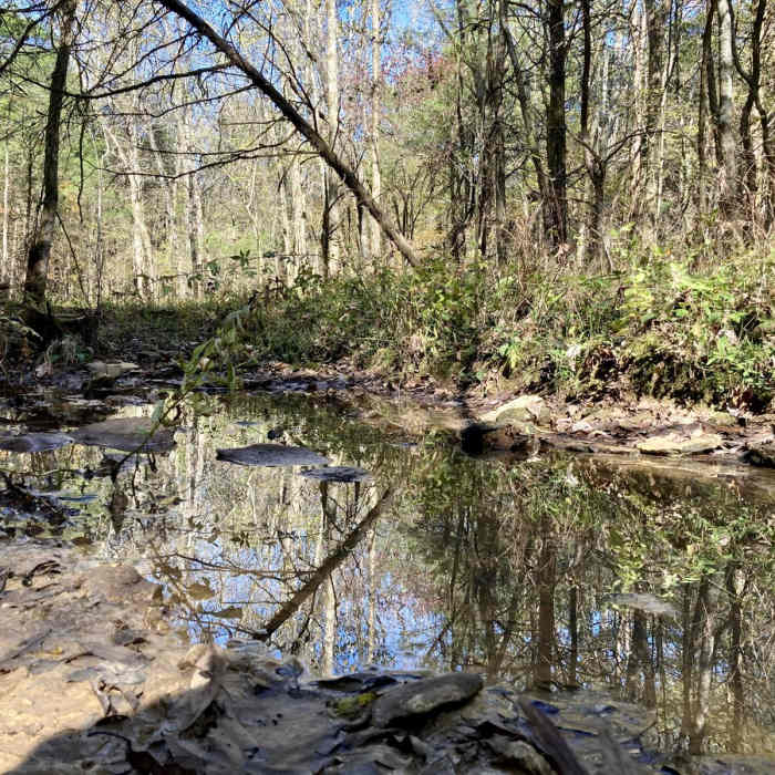 Near Hidden Springs Trail