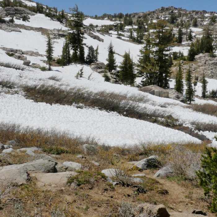 Near Woods Lake Loop via Winnemucca Lake