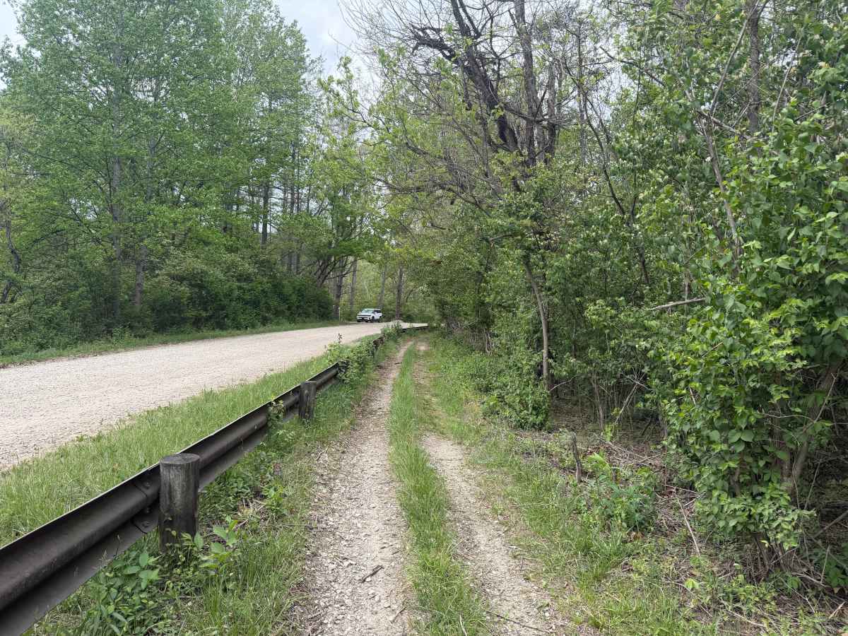 Saw Mill Trail photo 5