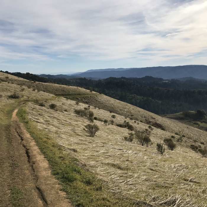 The trail makes its way down the hillside with views of the mountains and the ocean off to the right of the trail. Near Hawk Ridge Trail