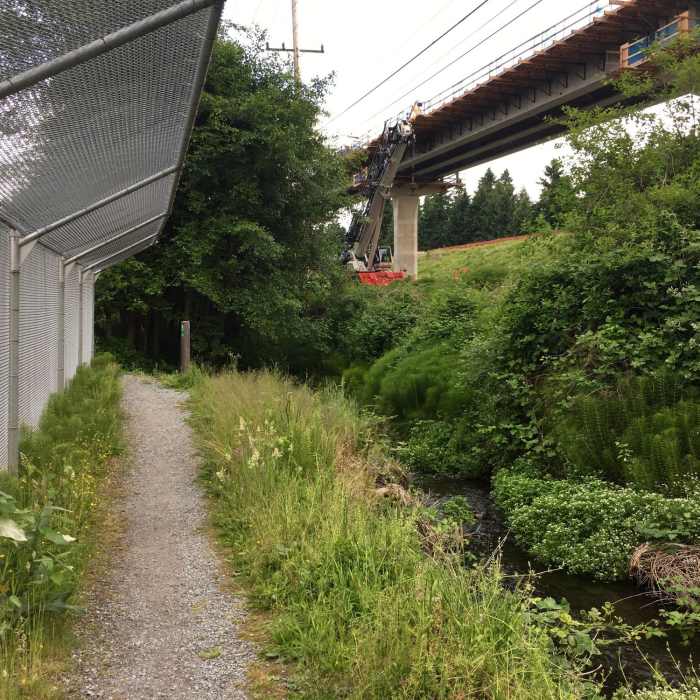 Near Jackson Park Trail