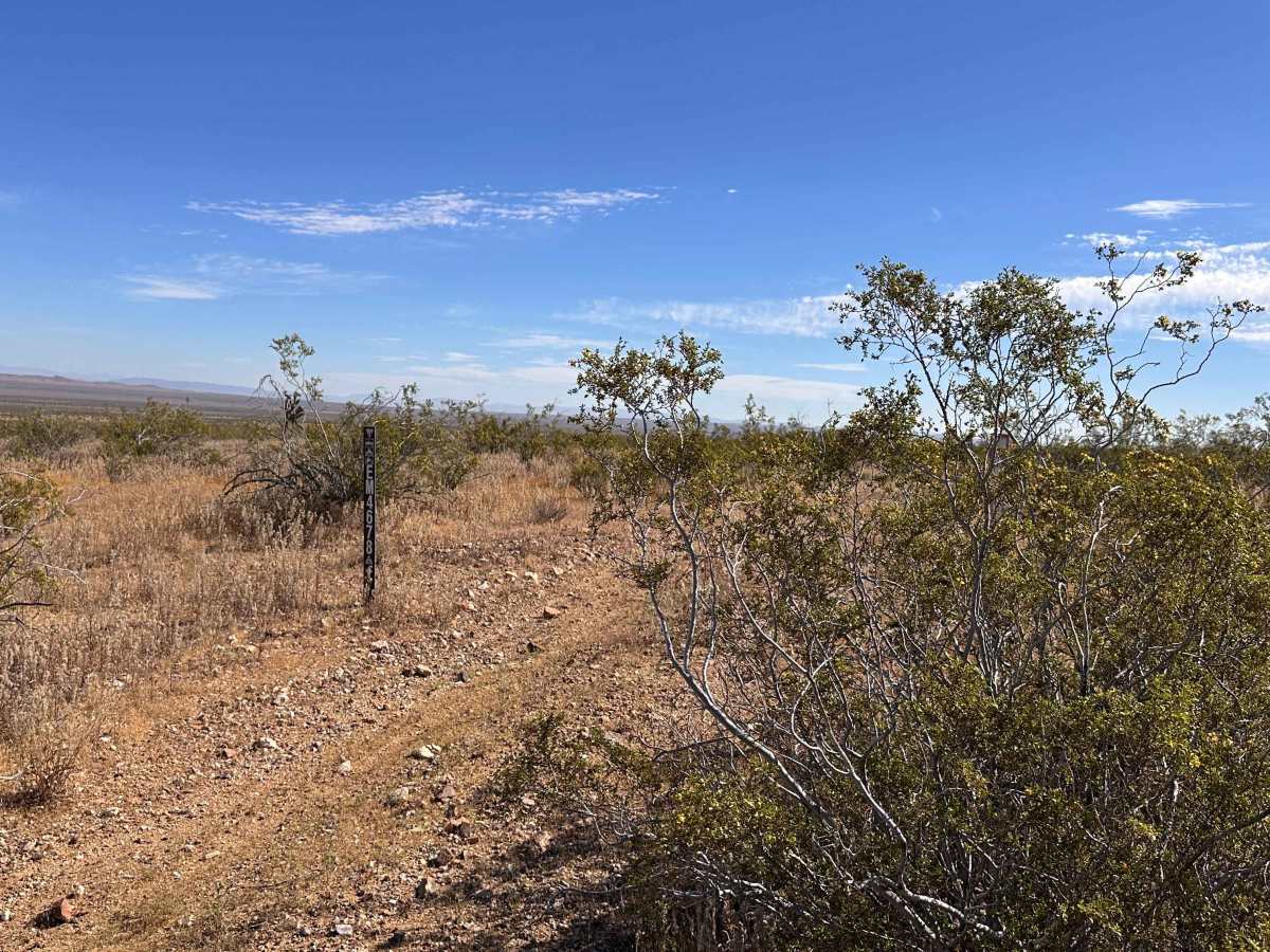 Rattlesnake Loop photo 5