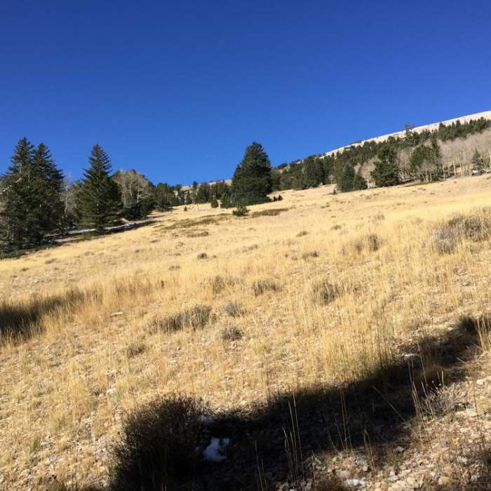 Near Alpine Lakes + Wheeler Peak
