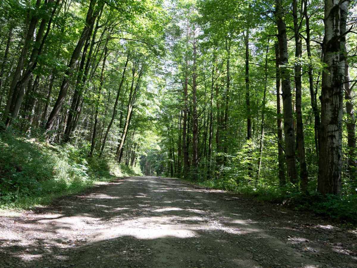 Lime Stone Run Road photo 5