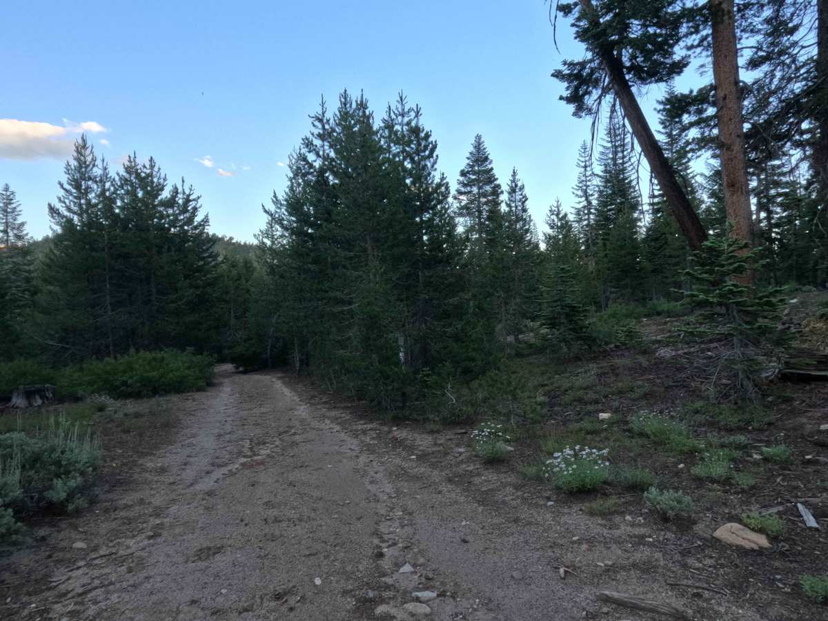 Willow Creek Road - FS 31051D photo 5