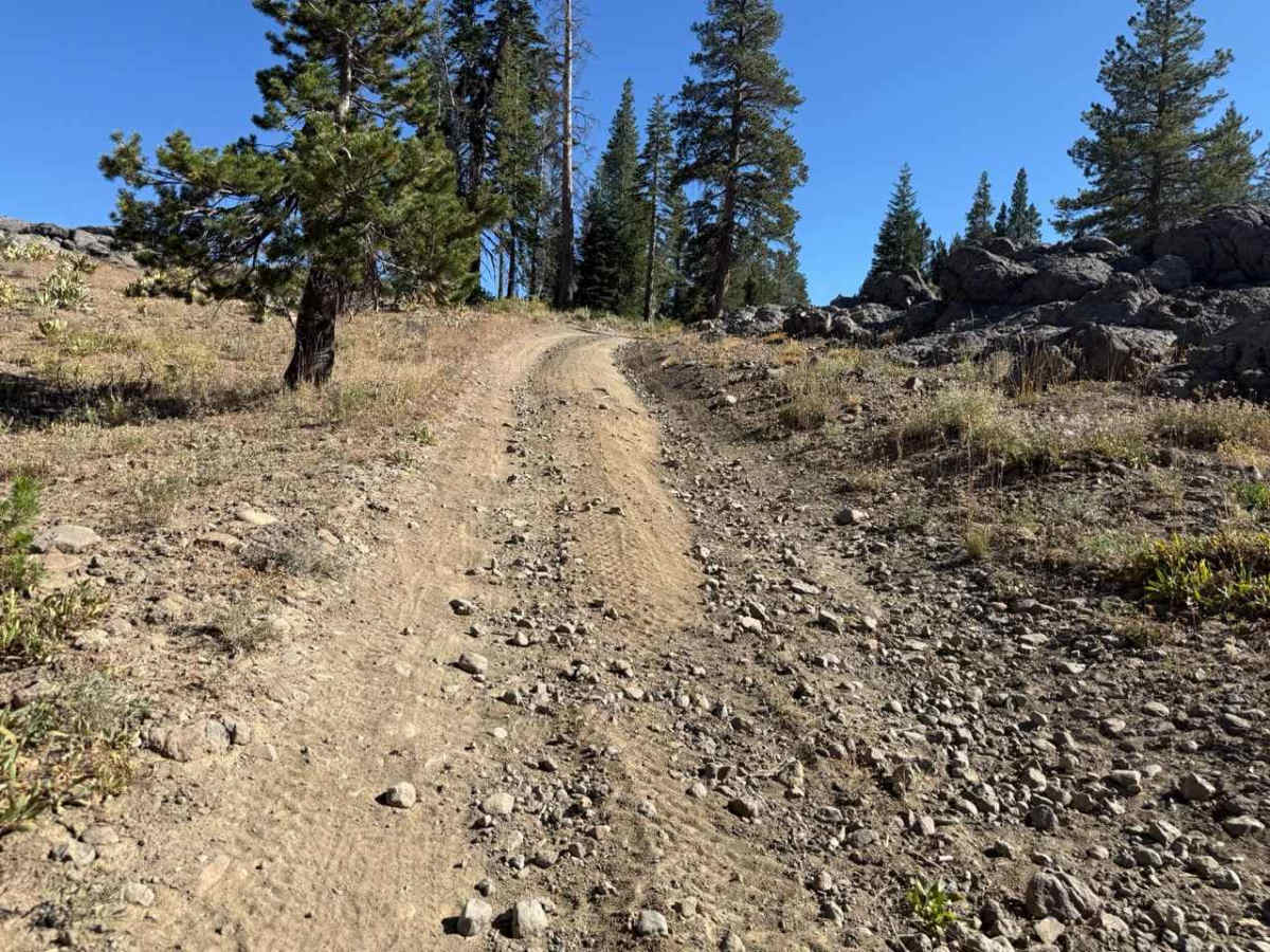 Indian Valley Road - FS 19E04 photo 3